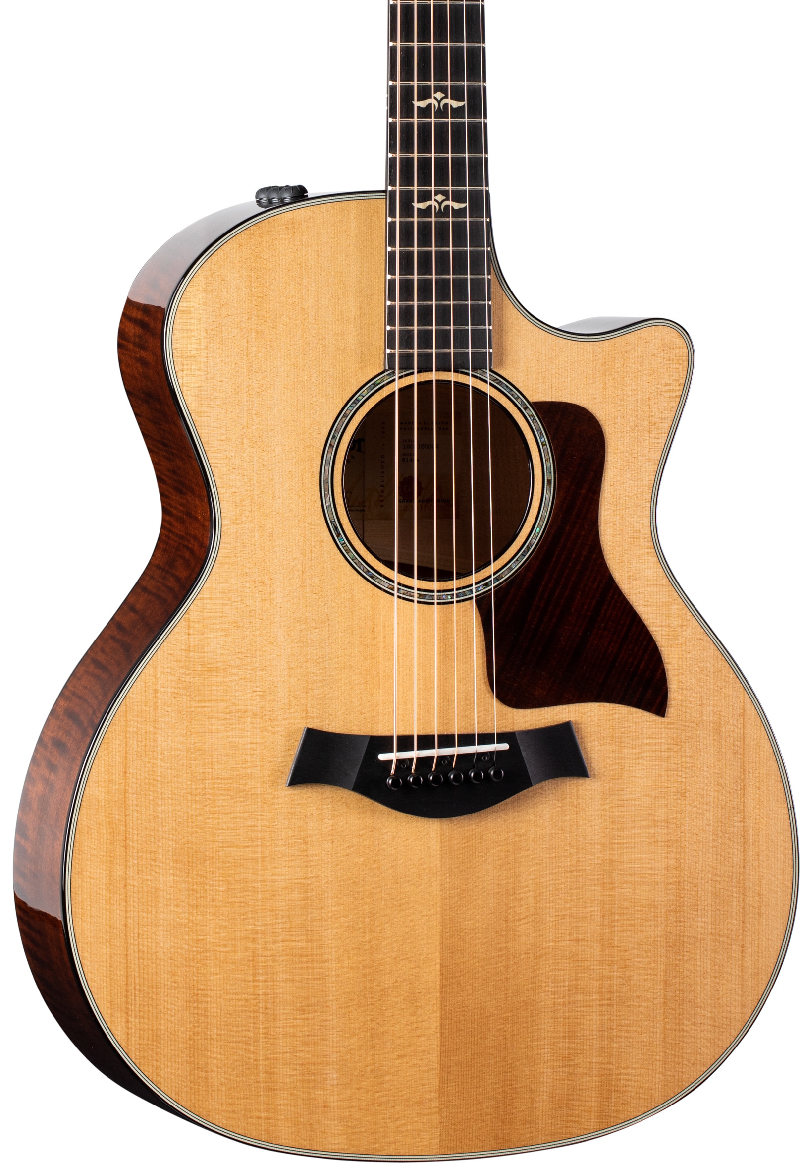 【人気No.1】 Taylor 614ce Case and Guitar Acoustic-Electric V-Class ギター