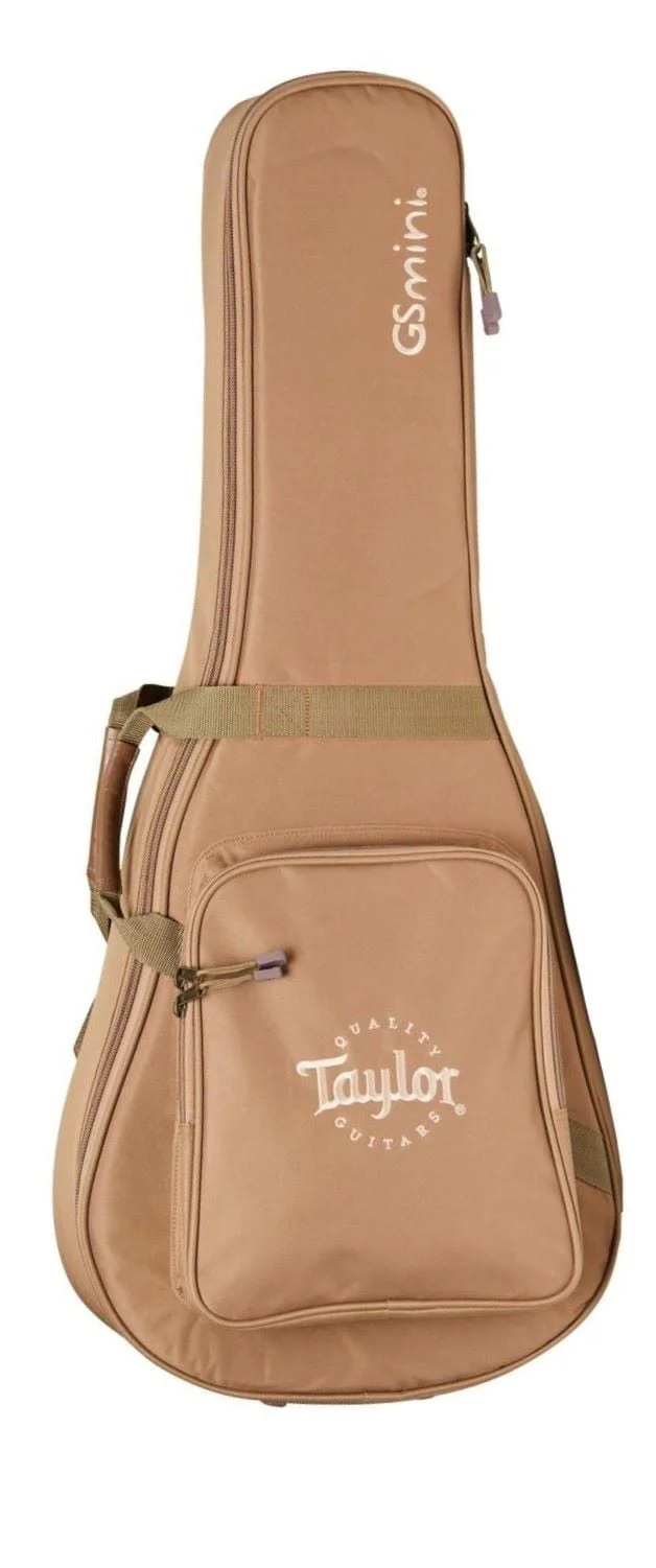 Taylor 'Limited Edition' G4V GS Mini Acoustic Guitar - 4 Vets Custom Artwork