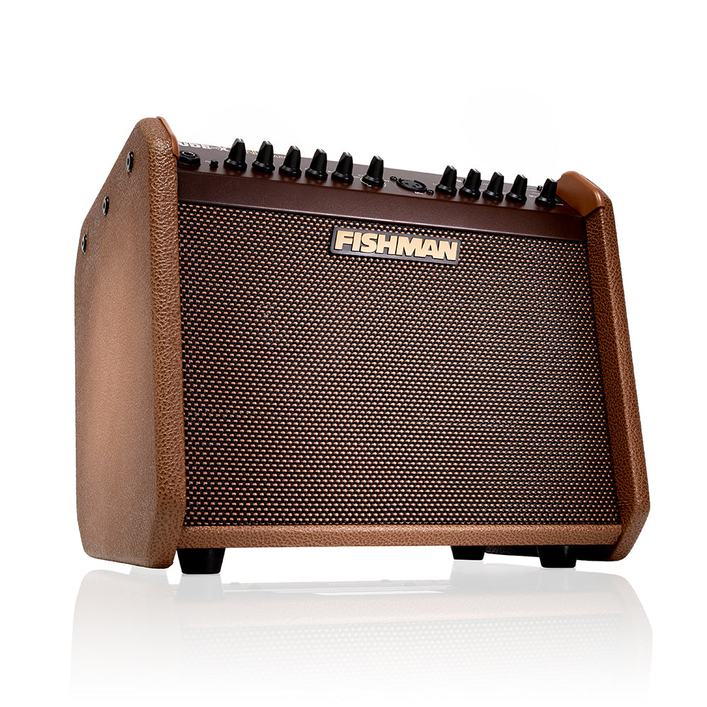 Fishman Loudbox Mini Charge Guitar Amplifier 3