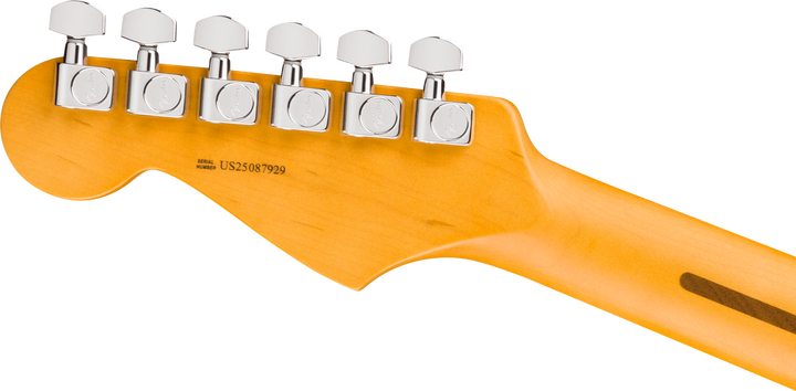 Fender American Professional Stratocaster Electric Guitar - Dark Night headstock, back
