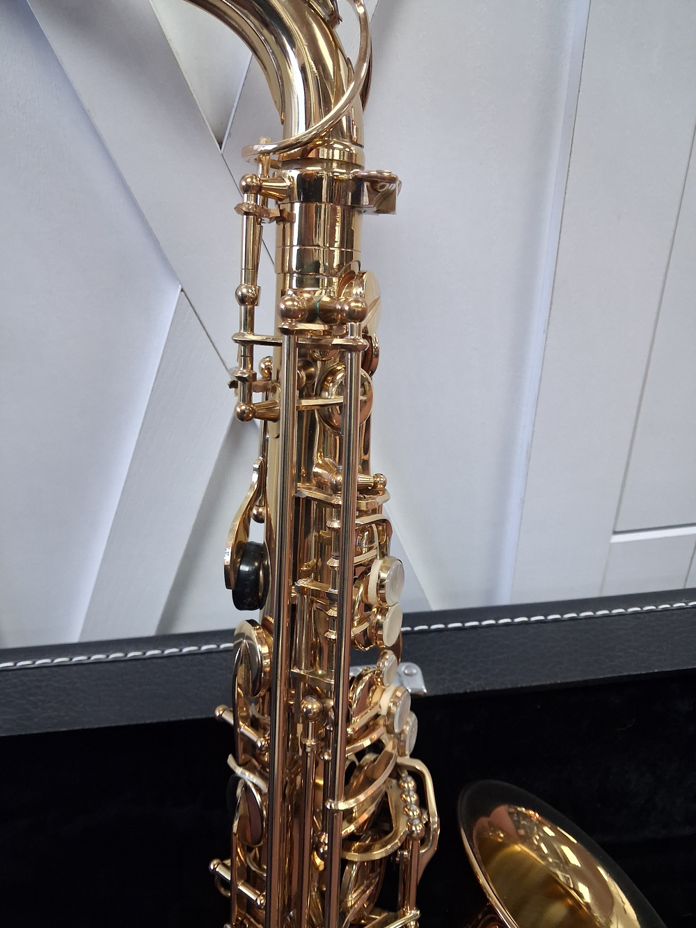 Used Alpine Model 6 Student Eb Alto Saxophone - With Case and Mouthpiece — Detail 3