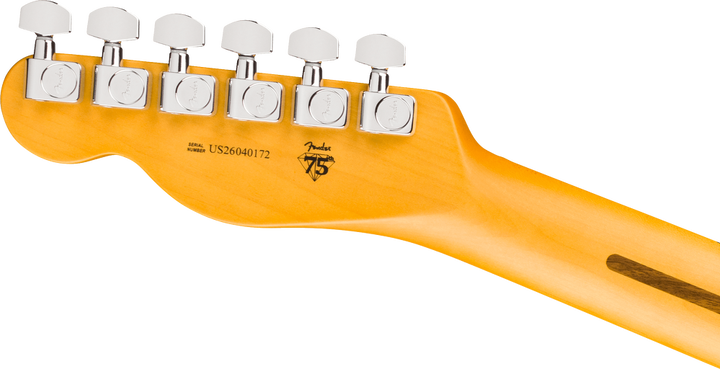 Fender American Professional Telecaster Electric Guitar - Natural headstock, back