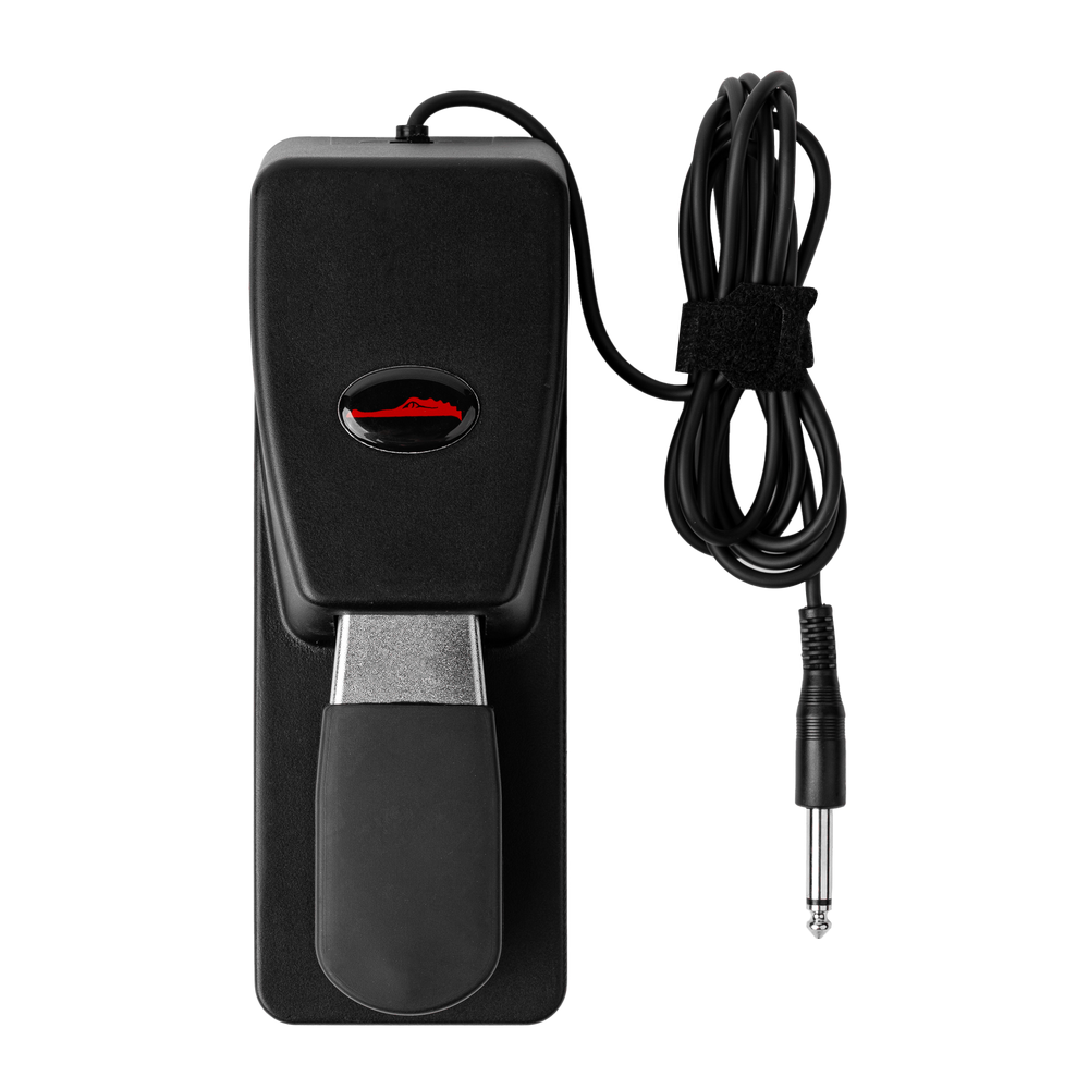 Frameworks Keyboard Sustain Pedal - With Half Damper Function — top view