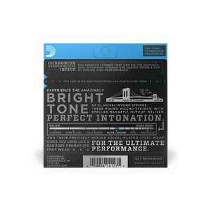 D'Addario EXL110 10-Pack Electric Guitar Strings - Regular Light — back view