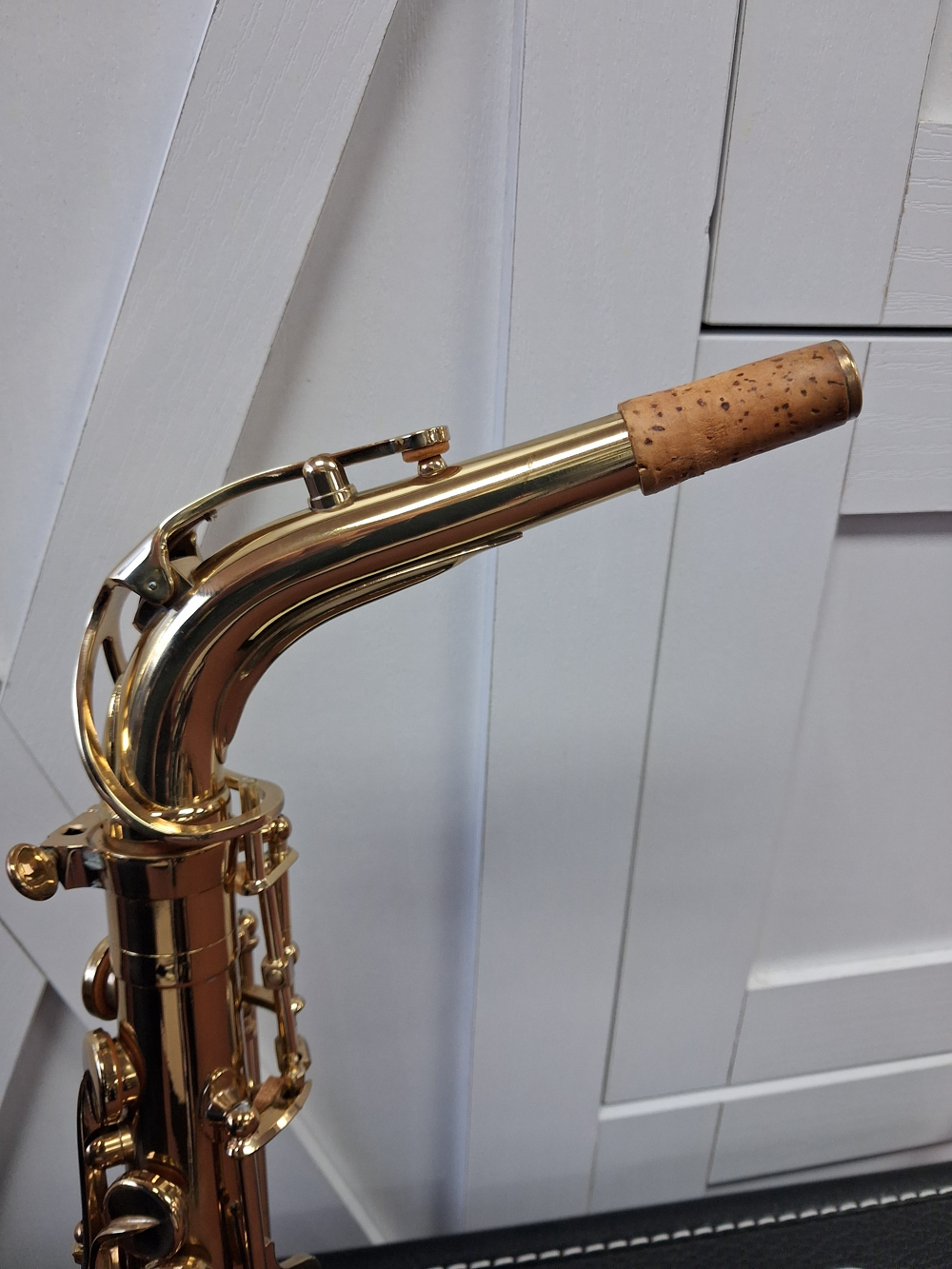 Used Alpine Model 6 Student Eb Alto Saxophone - With Case and Mouthpiece — Detail 1
