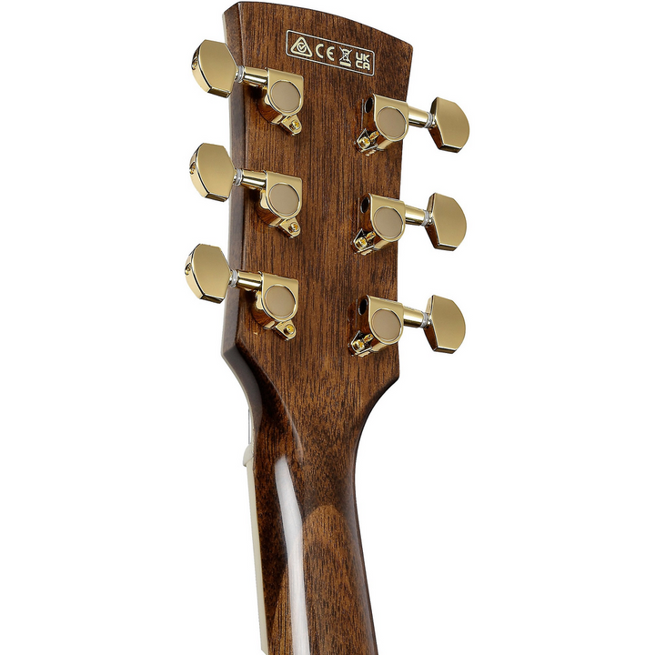 Ibanez Artwood AW391CE Acoustic-electric Guitar - Black High Gloss headstock, back