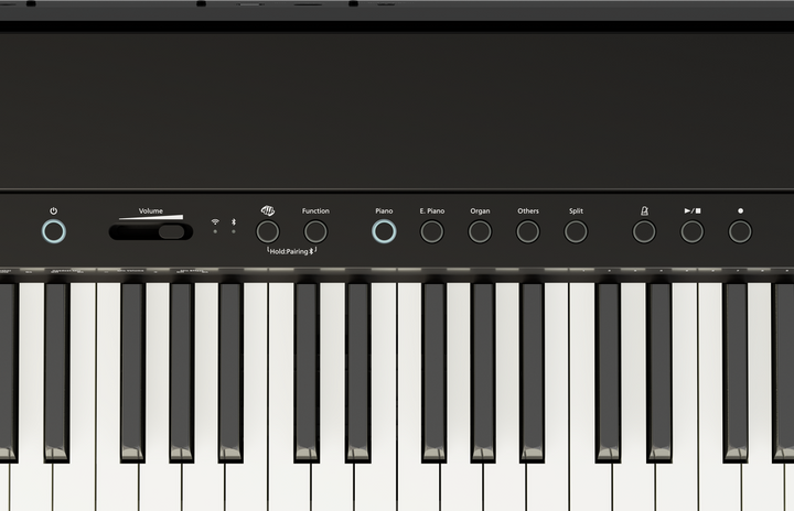 Roland FP-40 88 Key Digital Piano - Black — Front 1