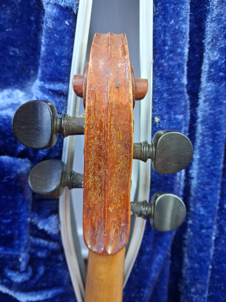 Used German Import 3/4 Student Violin - With Case and Bow headstock, back
