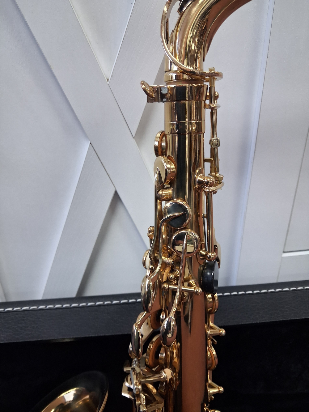 Used Alpine Model 6 Student Eb Alto Saxophone - With Case and Mouthpiece — Detail 4
