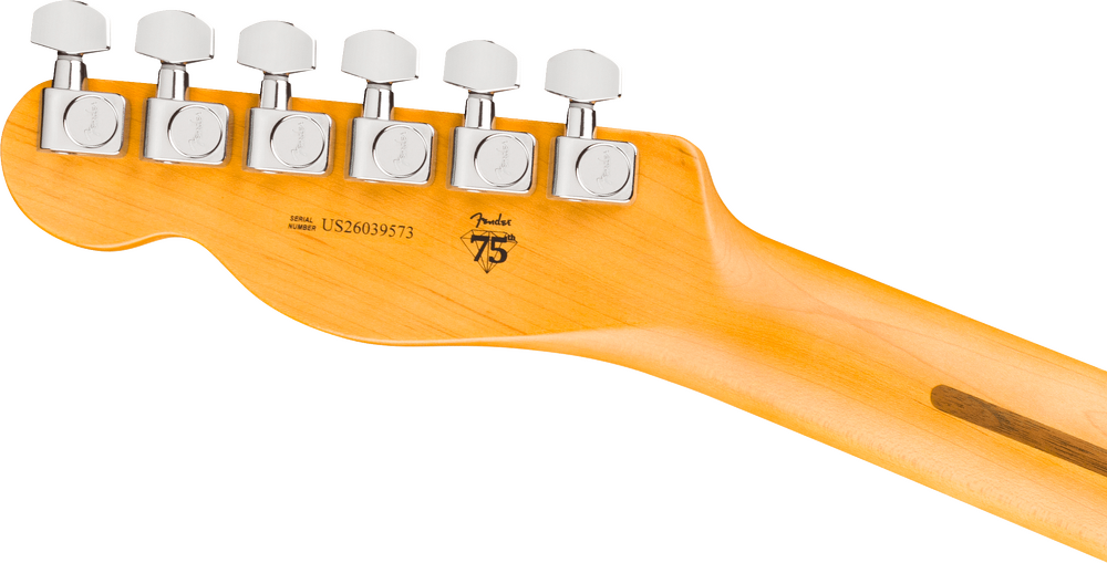 Fender American Professional Telecaster Electric Guitar - Natural headstock, back