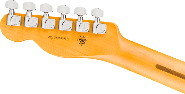 Fender American Professional Telecaster Electric Guitar - Natural headstock, back
