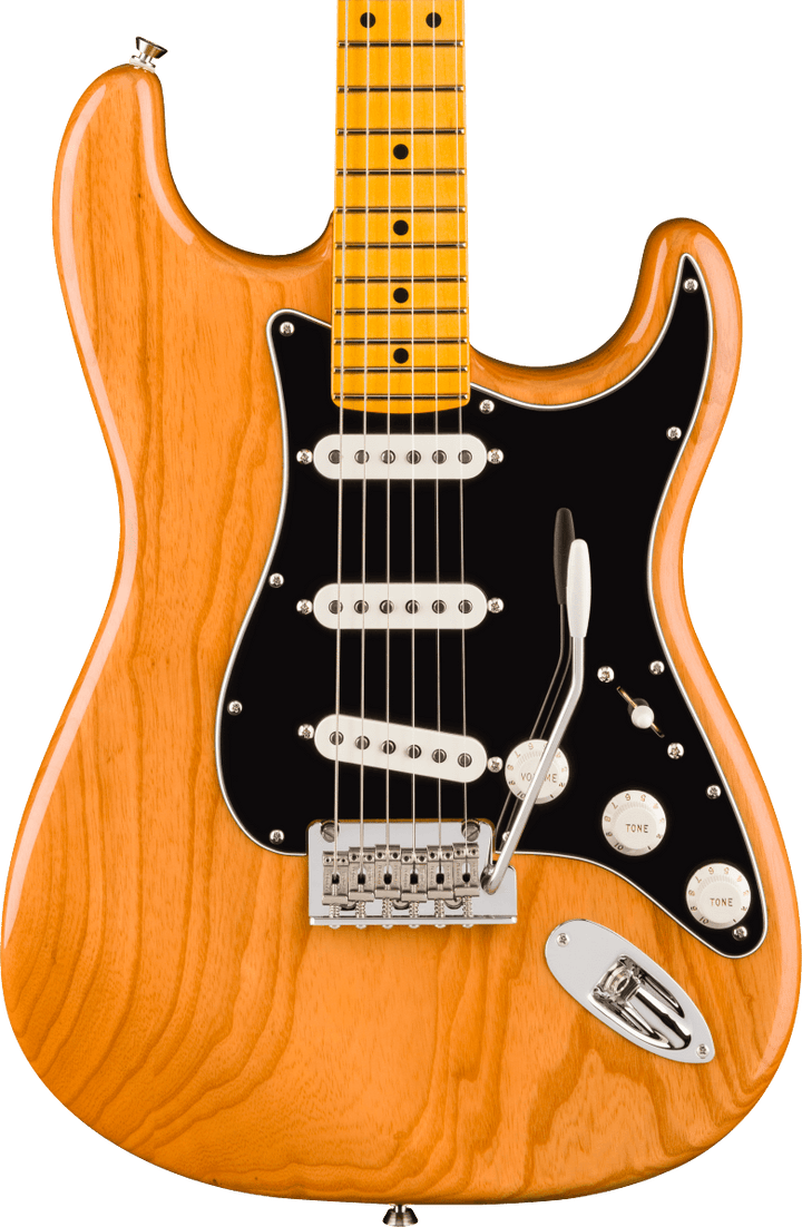 Fender American Professional Stratocaster Electric Guitar - Natural — three-quarter front view