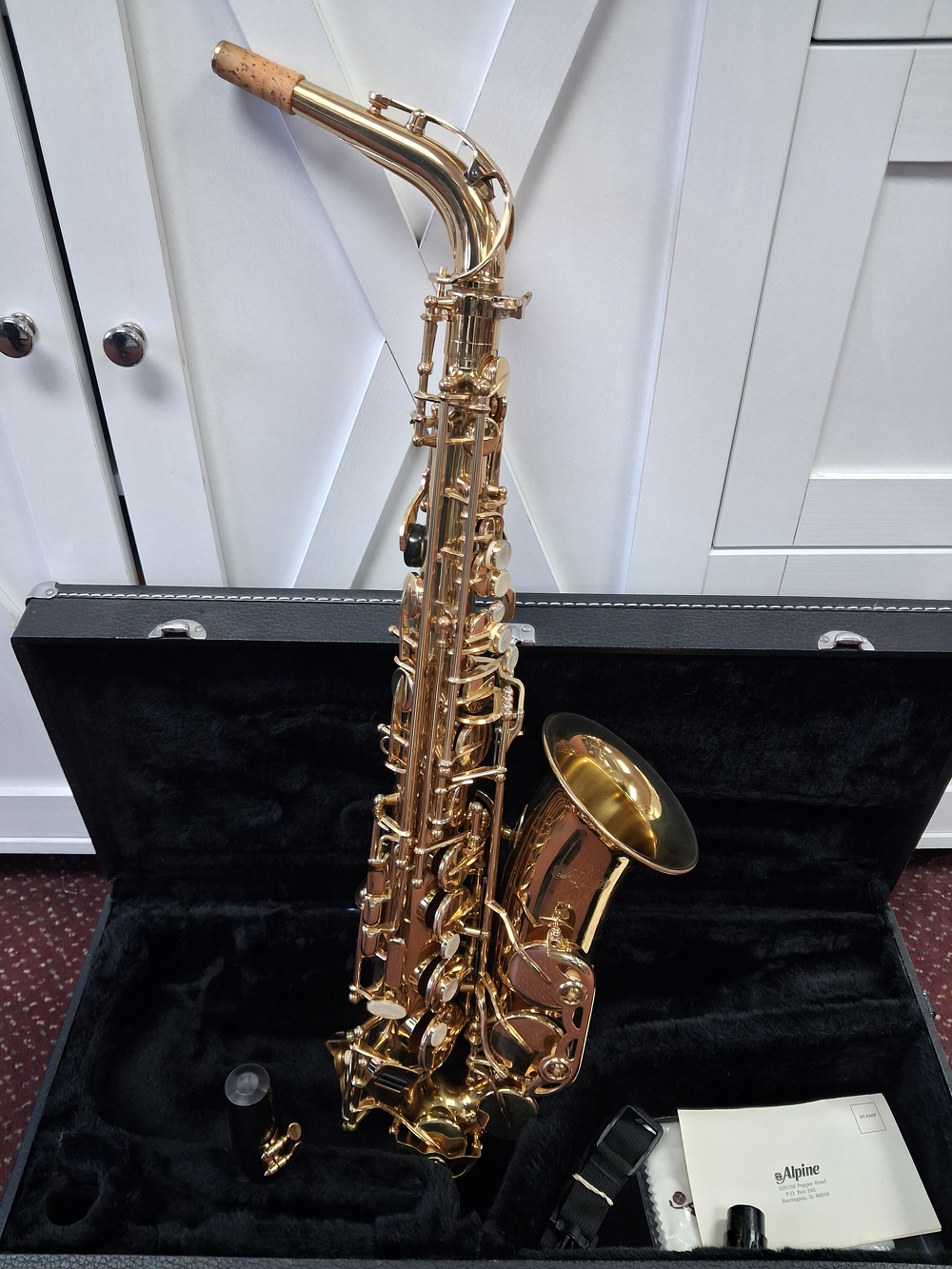 Used Alpine Model 6 Student Eb Alto Saxophone - With Case and Mouthpiece — Side 1