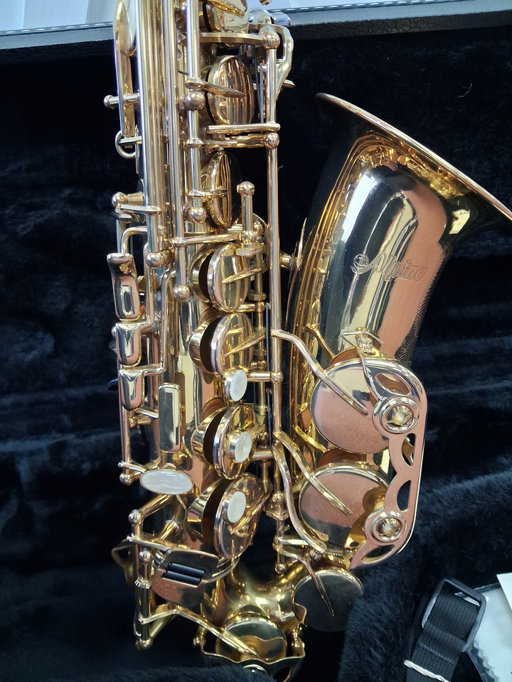 Used Alpine Model 6 Student Eb Alto Saxophone - With Case and Mouthpiece — Side 4