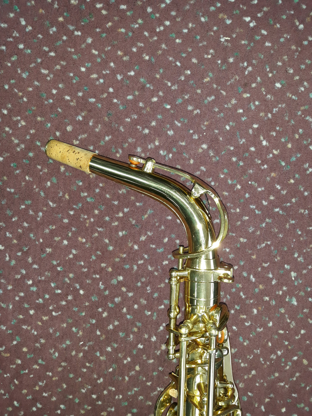 Used Palatino WI-819A Eb Alto Saxophone - With Case and Mouthpiece