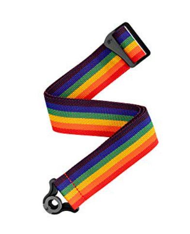 D'Addario PWSAL411 Poly Pro Auto Lock Strap (Rainbow)