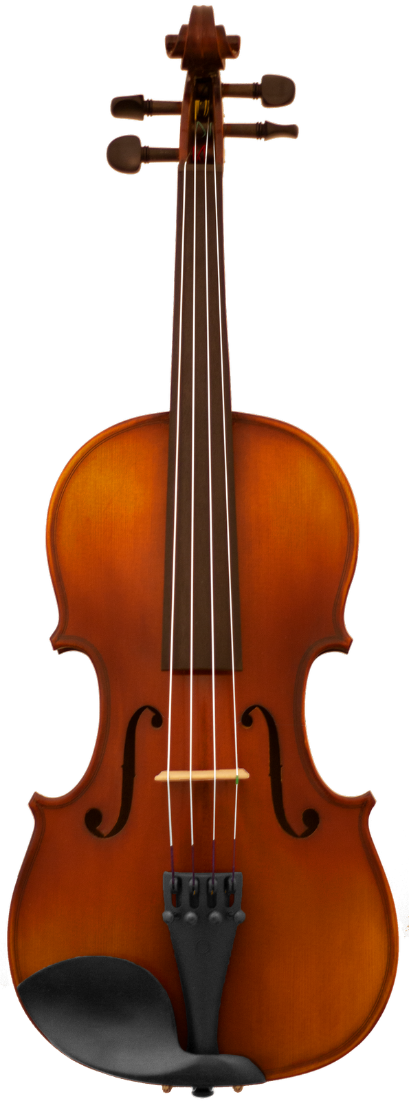 Maple Leaf Strings MLS120VN Violin Outfit - 4/4 Size 2