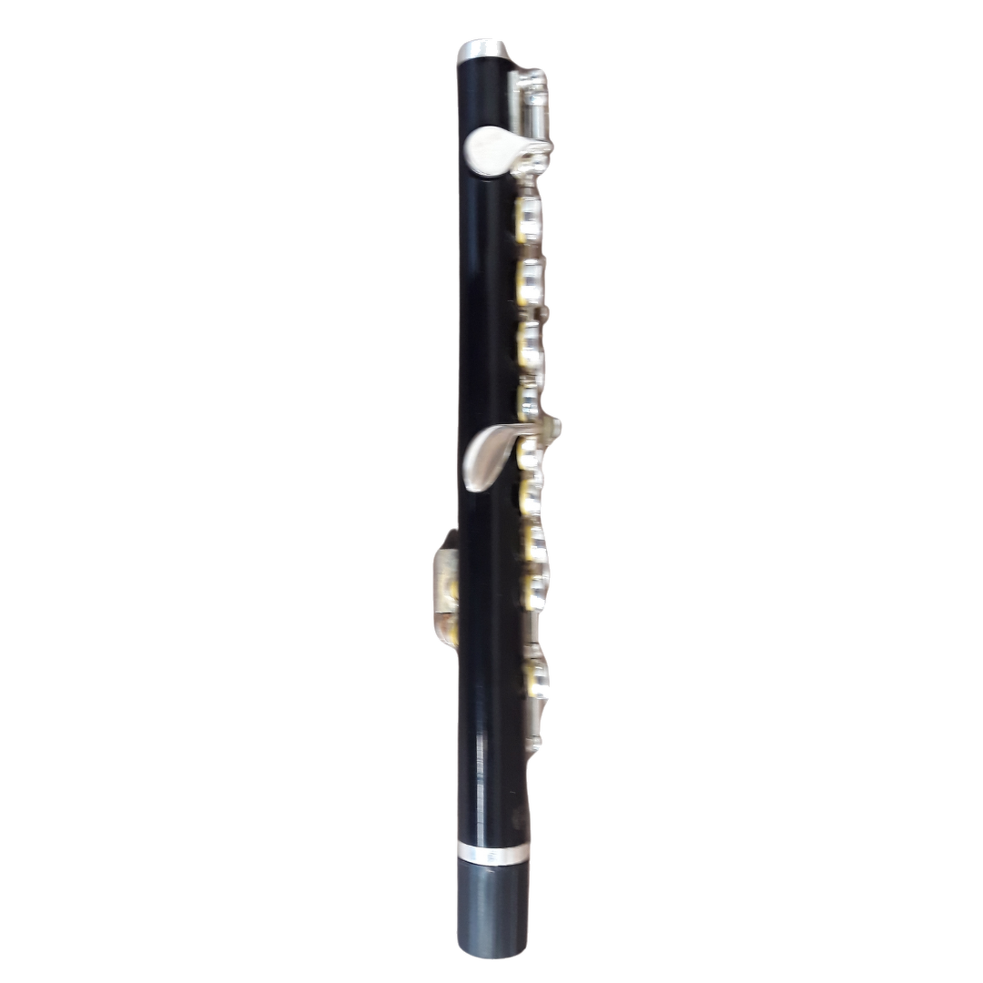 Used Bundy Resonite (ABS Resin) C-Piccolo - With Protec Case & Cork Grease