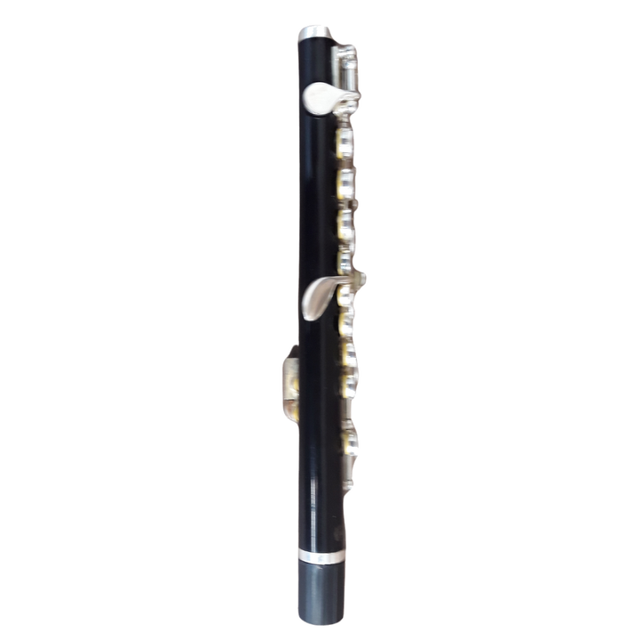 Used Bundy Resonite (ABS Resin) C-Piccolo - With Protec Case & Cork Grease