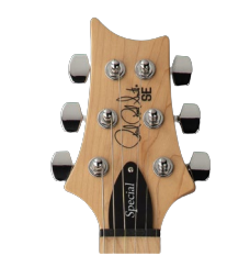 PRS SE Swamp Ash Special Electric Guitar - Iri Blue