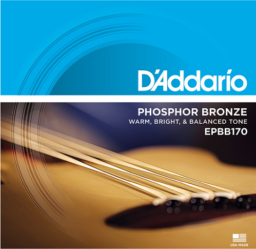 D'Addario EPBB170 Acoustic Bass Strings (.45-.100)