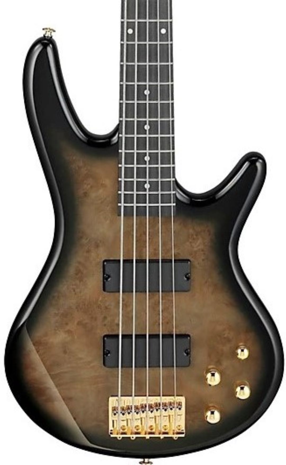 Ibanez Gio 5-String Electric Bass Guitar - Transparent Pale Black Burst