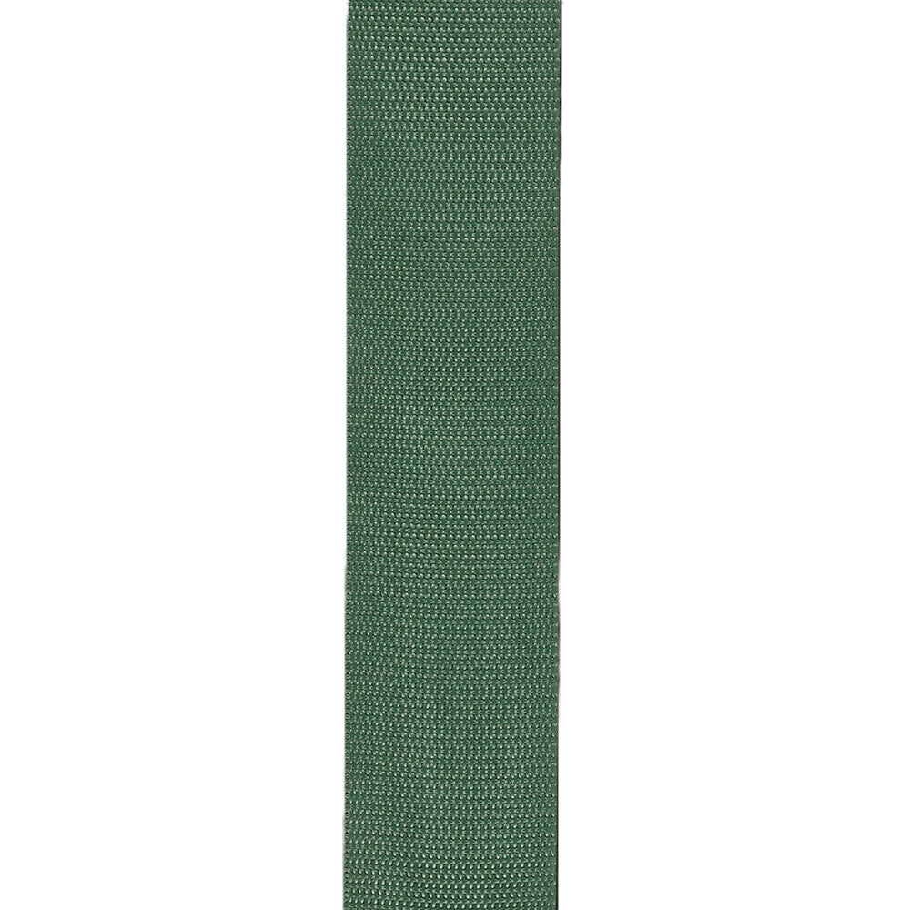 D'addario Poly Pro Auto Lock Strap - Green