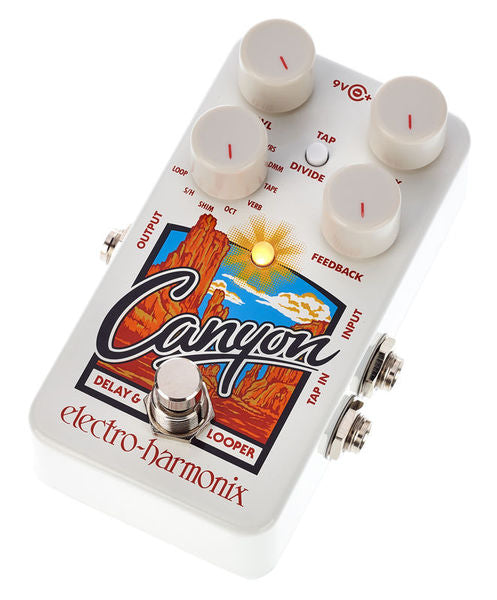 Electro-Harmonix Canyon Delay and Looper