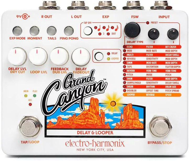 Electro-Harmonix Grand Canyon Delay and Looper