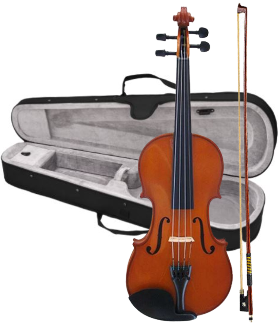 Maple Leaf Strings MLS110VN Violin Outfit - 4/4 Size