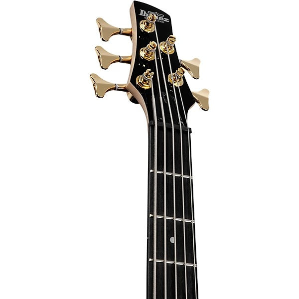 Ibanez Gio 5-String Electric Bass Guitar - Transparent Pale Black Burst