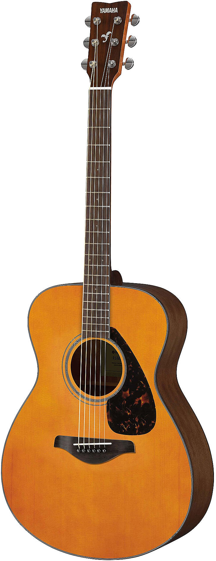 Yamaha FS800JT Grand Concert Acoustic Guitar Tint