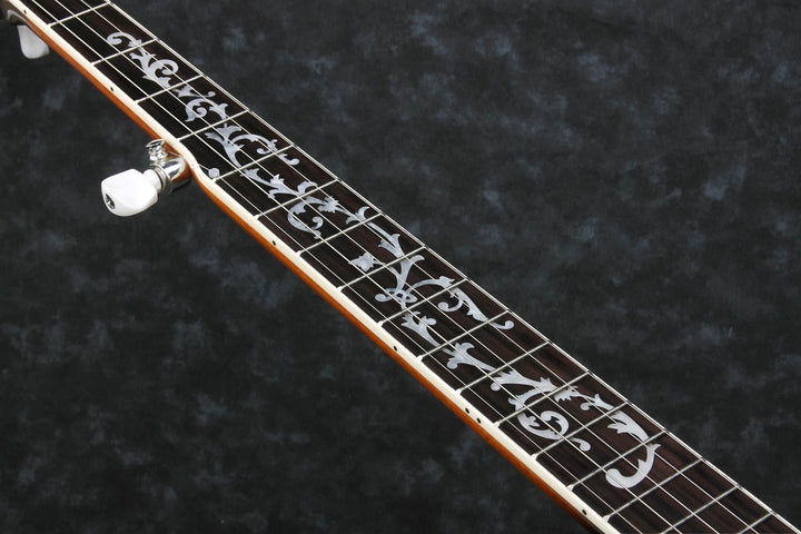 ibanez-b200-5-string-banjo-with-basswood-rim 2