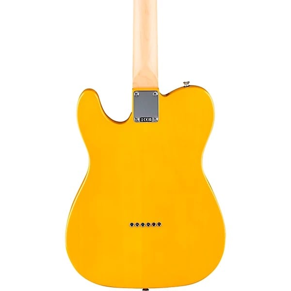 Fender Standard Telecaster Electric Guitar - Butterscotch Blonde 6