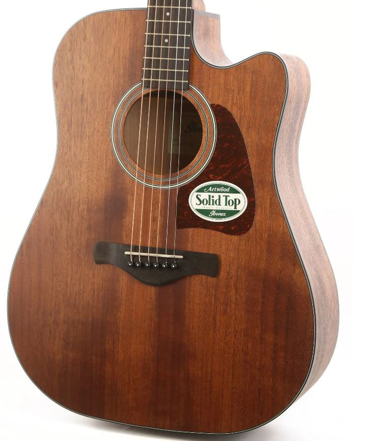 Ibanez AW54CEOPN Artwood Dreadnought Acoustic-Electric Guitar (Open Pore Natural)