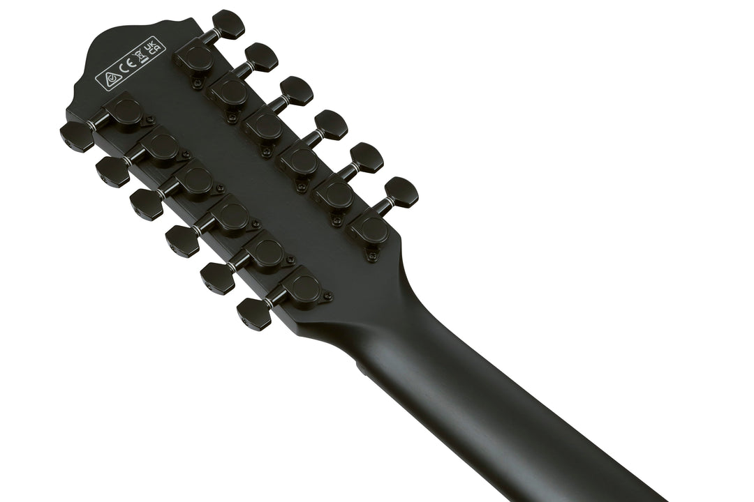 Ibanez AEG1221BOT 12-String Acoustic Electric Guitar - Black Out 3