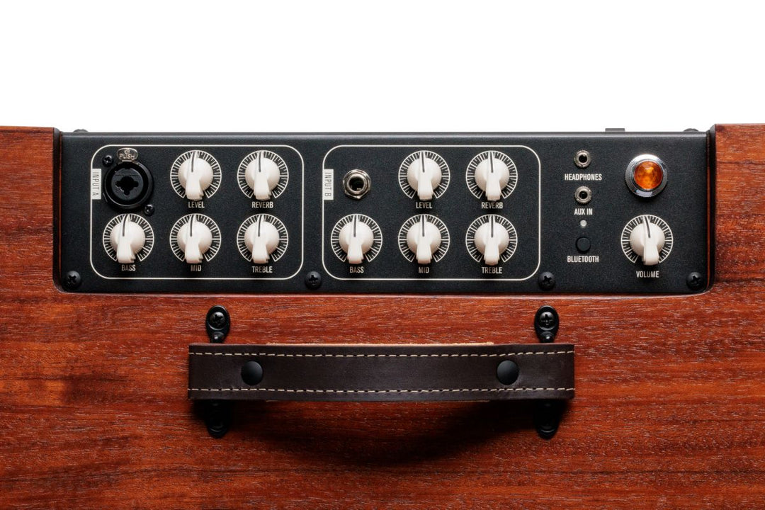 Taylor Circa74 Mahogany Acoustic and Vocal Amplifier with Stand 6