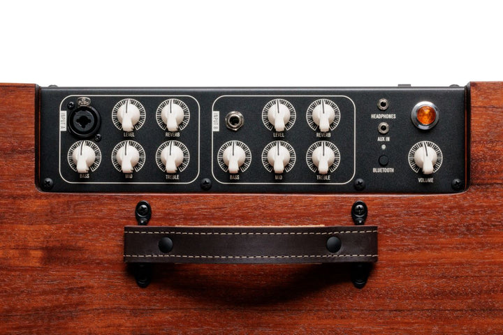 Taylor Circa74 Mahogany Acoustic and Vocal Amplifier with Stand 6