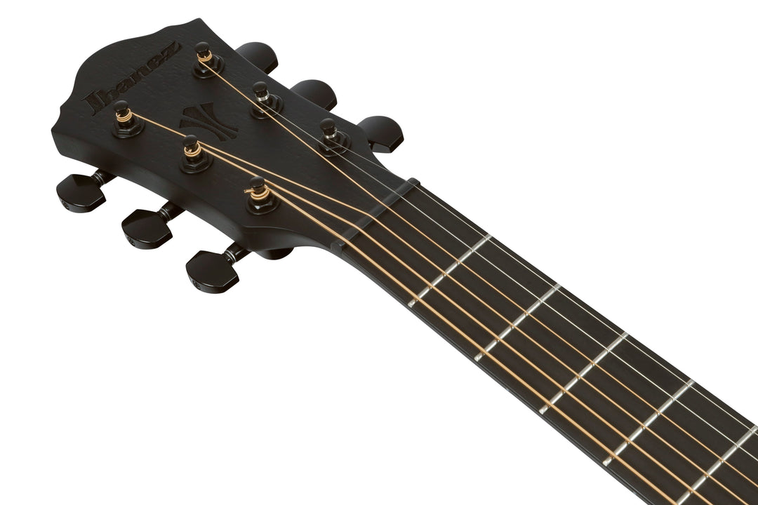 Ibanez AEG621BOT Acoustic Electric Guitar - Black Out 2