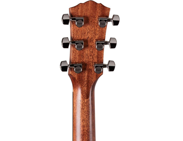 Taylor Gold Label 517e Acoustic Electric Guitar - Sunburst 4
