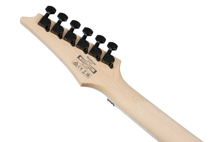 Ibanez RG450QMB Standard Electric Guitar - Transparent Gray Burst