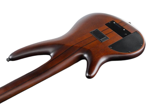 Ibanez Bass Workshop 5 String Fretless Bass Guitar  - Brown  Burst Flat 3
