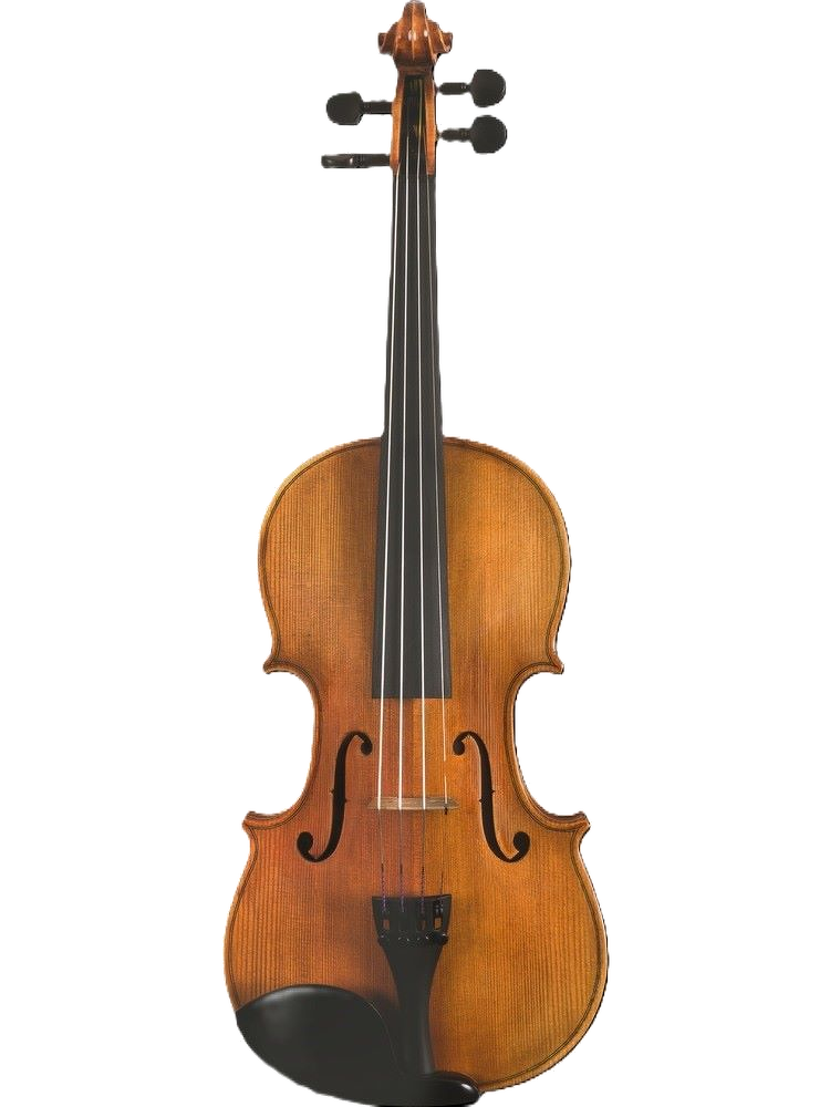 Maple Leaf Strings MLS140 Viola Outfit - 15"