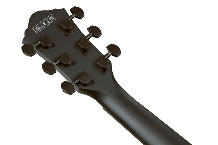 Ibanez AEG621BOT Acoustic Electric Guitar - Black Out 3