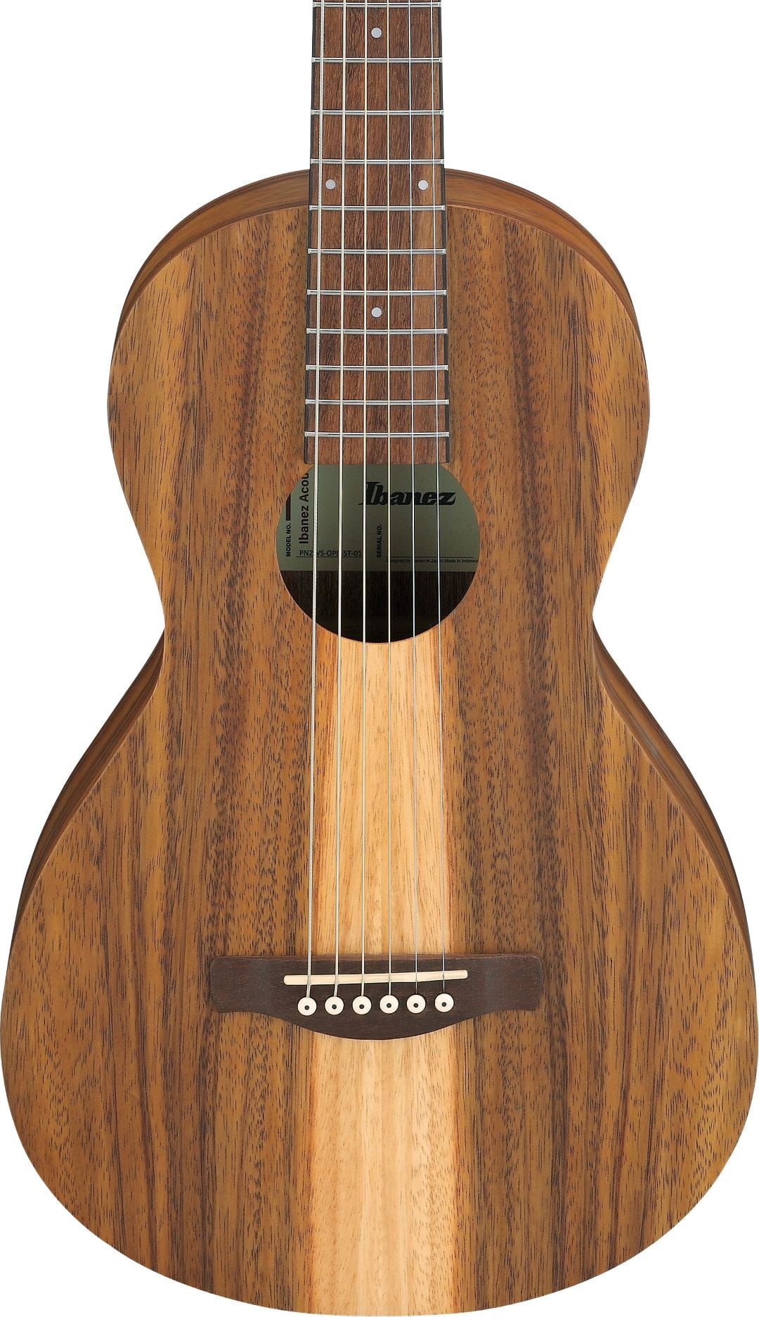 Ibanez PN2WSOPB Acoustic Guitar - Open Pore Brown