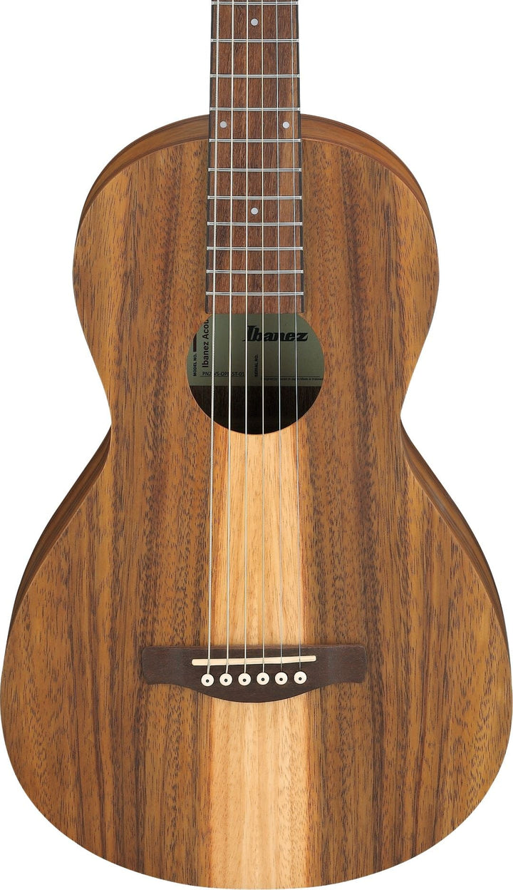 Ibanez PN2WSOPB Acoustic Guitar - Open Pore Brown