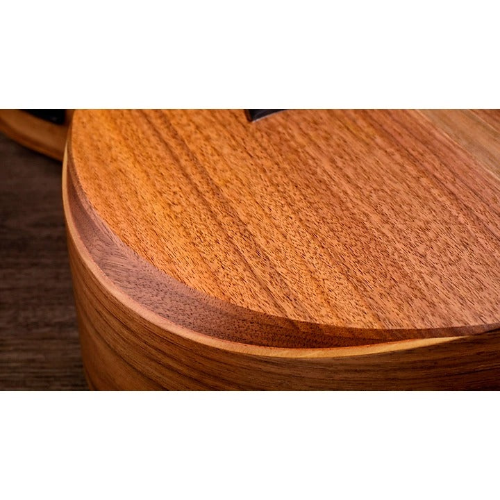 Taylor Academy 22e Acoustic Electric Guitar with Gigbag