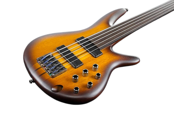 Ibanez Bass Workshop 5 String Fretless Bass Guitar  - Brown  Burst Flat 2