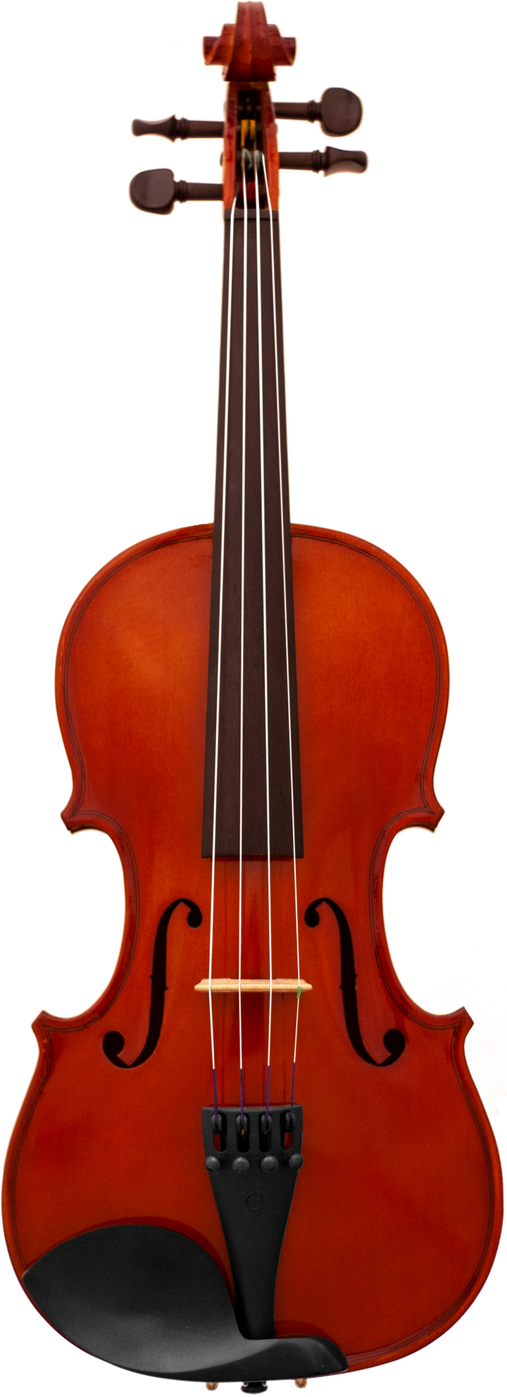 Maple Leaf Strings MLS110VN Violin Outfit - 4/4 Size 6
