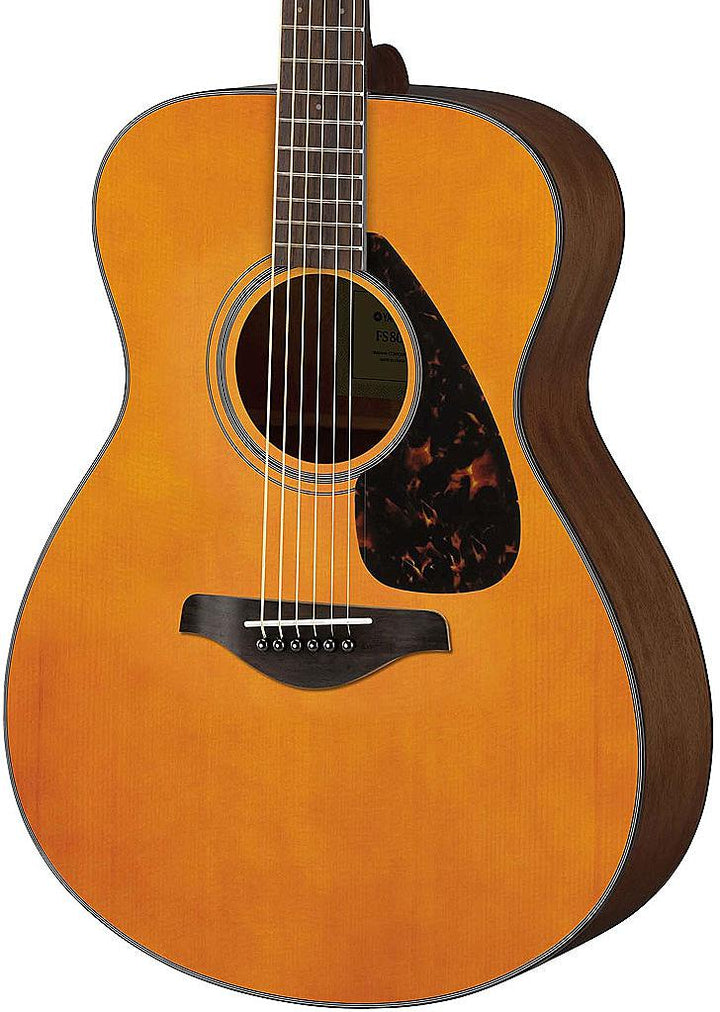 Yamaha FS800JT Grand Concert Acoustic Guitar Tint